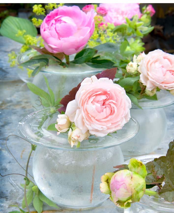 Dette er en klassisk vase, og den brede kragen åpner for mange nye måter å dekorere med blomster.