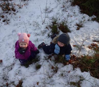 snøen blitt til farget vann