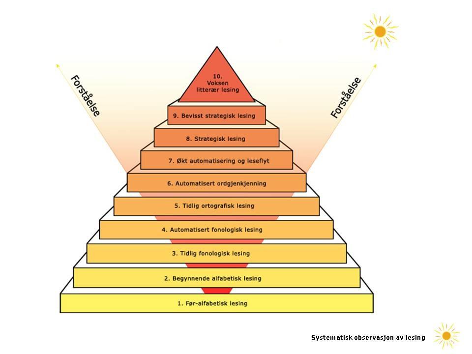 Om SOL Systematisk observasjon av lesing Strategisk