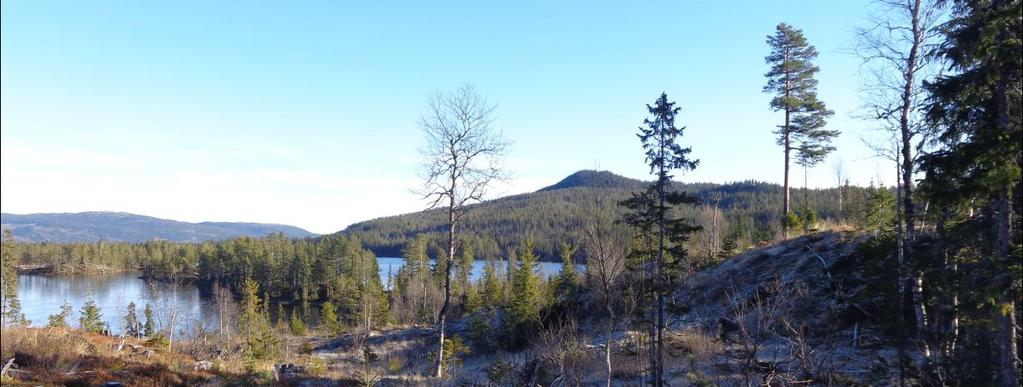 Då høgda i nordvest er fjerna, som var meint til å dempe eksponeringa av hytta, har det ikkje like mykje for seg å flytte hytta så mykje som 6 meter.