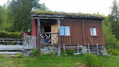 Vi har noen meget dyktige «gamle travere» her i Bøfjorden som var med oss i år igjen.