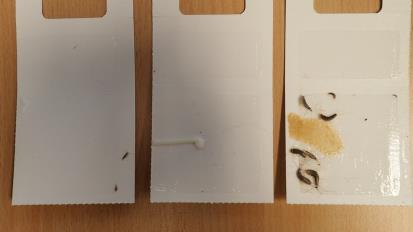 Skjeggkre - FoU (201603146) Side 58 av 90 Foto 70. Til venstre er det en ren limfelle, i midten en limfelle med en kakerlakkåte og til høyre en limfelle med spesialåte. Foto 71.