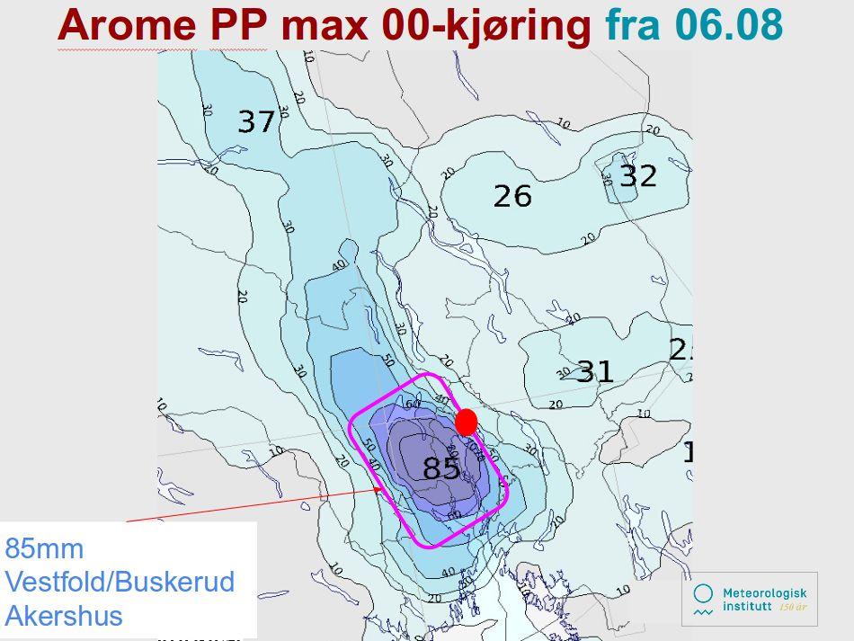 Figur 1.5: Arome 00-prognose 6. august. 24 timers nedbør for 6. aug. MEPS-prognoser Kunne MEPS-prognosene bidratt til å gjøre det enklere å varsle denne hendelsen?