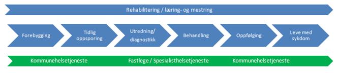 Hovedfaser i pasientforløpet: (a) forebygging og tidlig oppsporing (b) utredning/diagnostikk (c) behandling