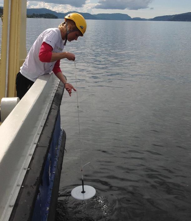 Mellom-årlige variasjoner i siktedypmålinger for august skyldes normalt varierende mengde plankton (algeoppblomstringer) i vannet eller varierende tilførsel av partikler og løst organisk materiale.