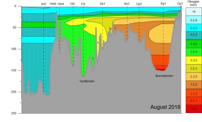 Bunnefjorden, noe som medførte økte oksygenkonsentrasjoner (dypvannsfornyelse).