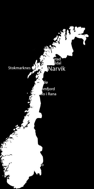 ingeniørfaglige og teknologiske