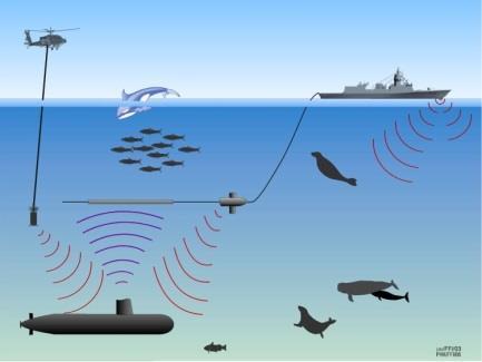 Er menneskeskapt støy forurensing? EUs Marinstrategidirektiv (MSFD) definerer støy som forurensing.