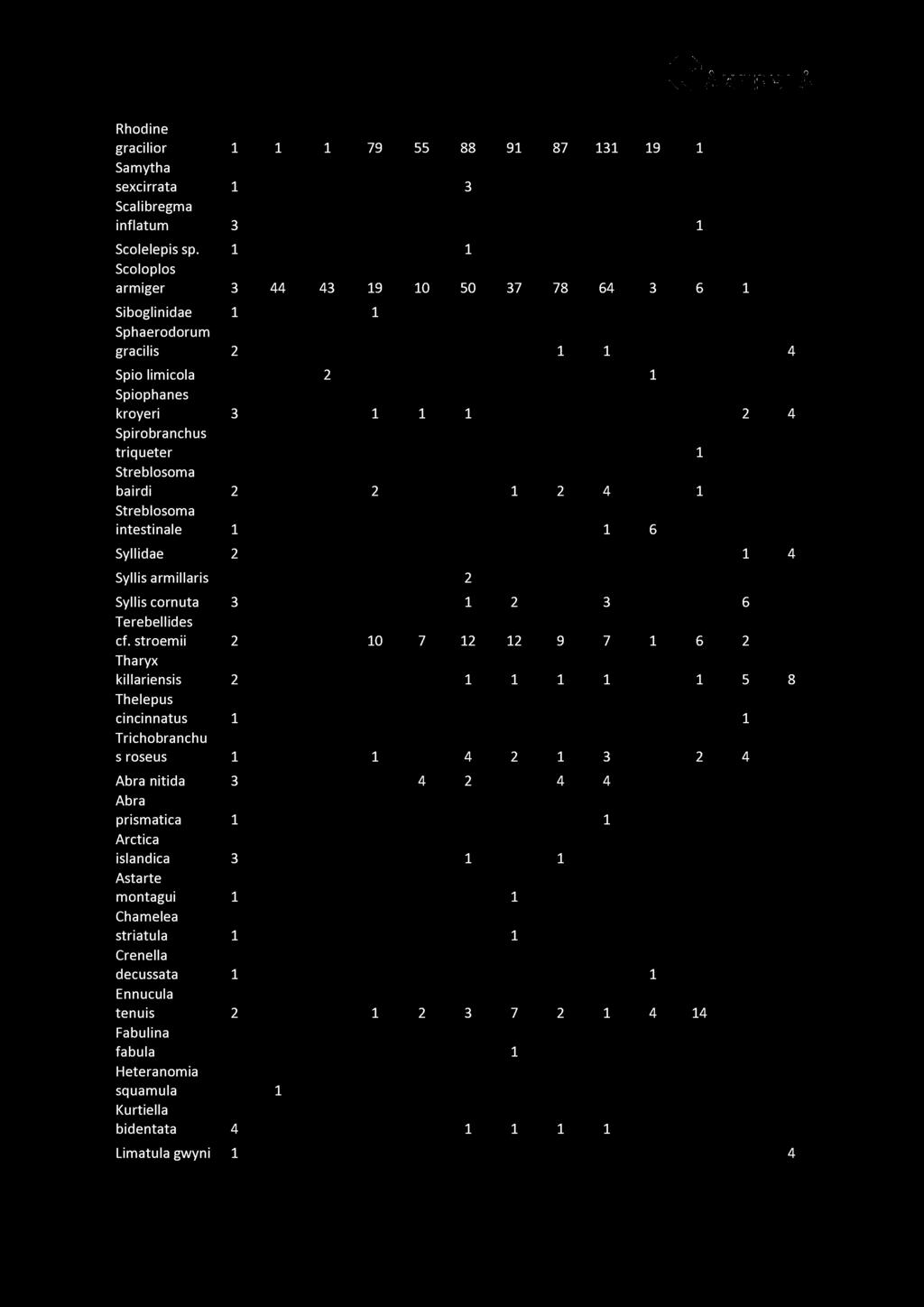 Rhodine gracilior 1 1 1 79 55 88 91 87 131 19 1 Samytha sexcirrata 1 3 Scalibregma inflatum 3 1 Scolelepi sp.