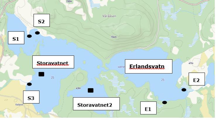 Erlandsvatnet er kun undersøkt for vannplanter på stasjonene E1 og E2. Storavatnet er undersøkt for vannplanter ved stasjonene S1, S2 og S3. Figur 3.