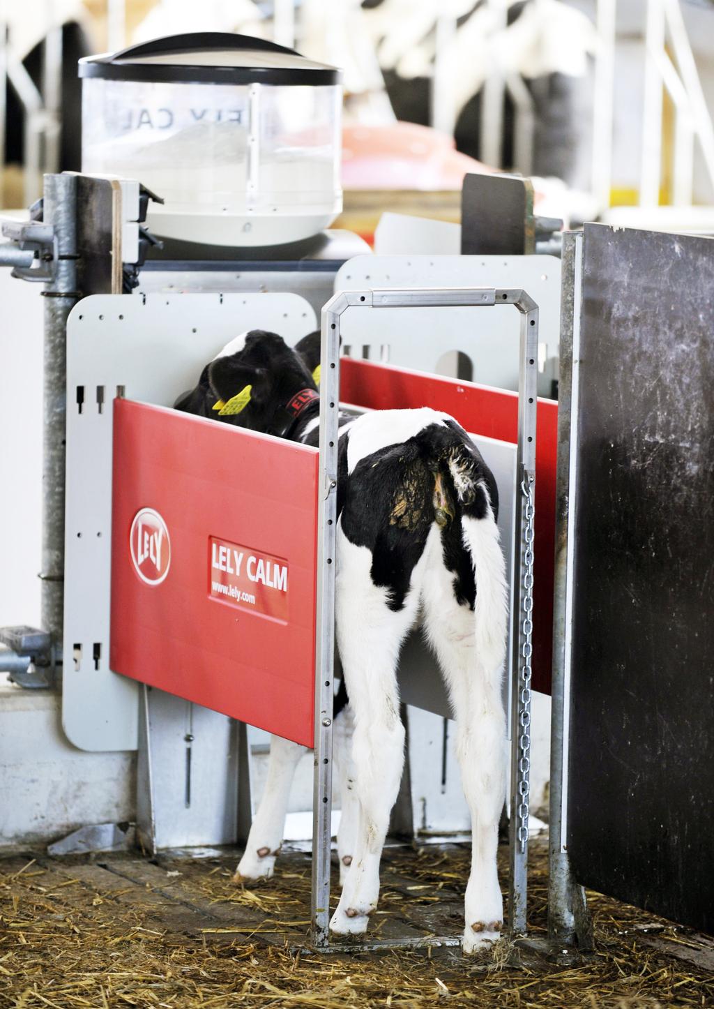 Lely Calm melkefôringsautomat er utviklet for å gi kalven bedre oppvekstvilkår, i tillegg til at det sparer deg for arbeid.