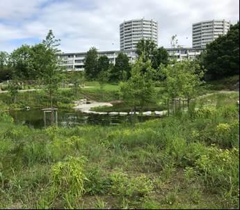 Stavanger kulturskole Åpen fordrøyning av overvann utført som parkelement.