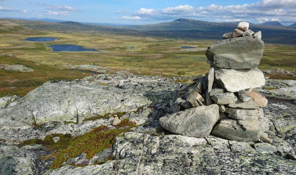 De rike myrene i Remslia antas å kunne ha viktige funksjoner for våtmarksfugl. Det anbefales spesielt en oppdatering av kunnskapsgrunnlaget for dobbeltbekkasin (NT) i dette området.