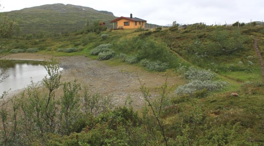 2017 Feltarbeid utført av Jon Opheim Kort lokalitetsbeskrivelse Stien har utgangspunkt fra Storerikvollen (ca. 770 m.oh.).