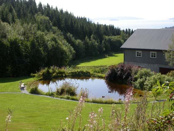 13. Leksetdammen, Inderøy Dammen ble gravd ut i 2003 og ligger vakkert til i et parklignende område. Bunnen er dekket med duk overlagt med skjellsand, og mesteparten av dammen har åpent vannspeil.