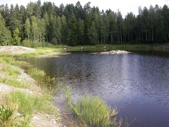 Vinteren 2006/07 ble det meste av vegetasjonen fjernet, og masse (ca 6000 m 3 ) ble gravd ut og rør ble lagt mellom dammen og bekken. Formålet med tiltakene var å lage en miljødam/vatningsdam.