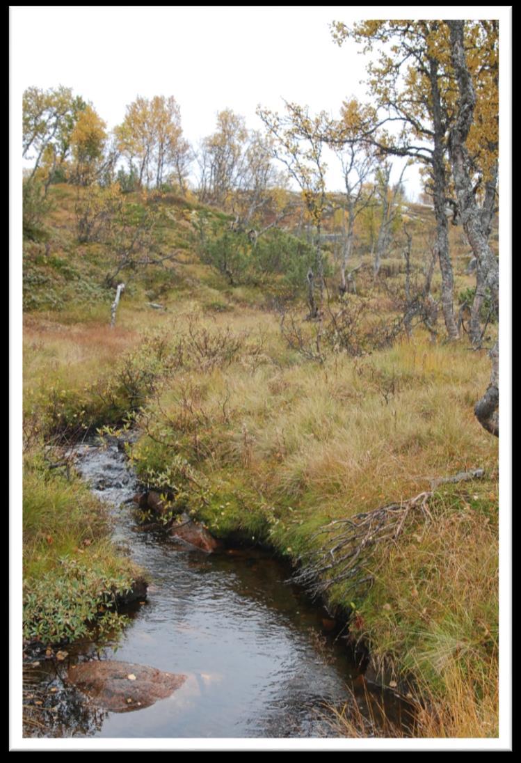 Sør for området ligg Brattefjell-Vindeggen landskapsvernområde; eit dyrelivfreda område som omfattar delar av kommunane Hjartdal, Seljord, Tinn og Vinje, og som er eit leveområde for villreinen