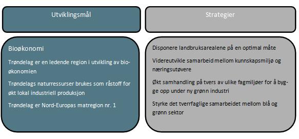 I nylig vedtatt Strategi for innovasjon og verdiskaping i Trøndelag, er bioøkonomi ett av fem mulighetsområder i strategien.