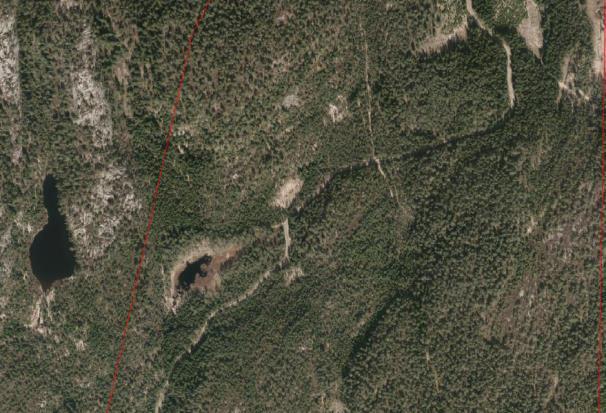 Området berøres ikke av Fylkesmannens foreslåtte kartleggingsområder m h p vern av skog. Området berører et myrområde i vestre del.