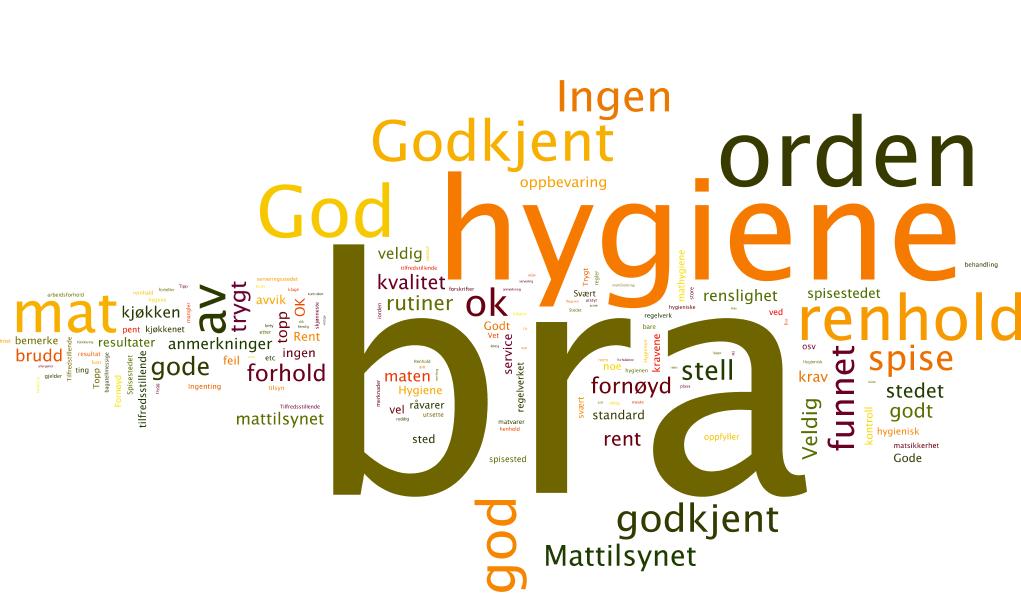 Dette smilefjeset betyr at alt er bra, alt er i orden, det er bra hygiene, bra kvalitet, godt renhold, gode rutiner, trygt å spise, trygg mat, stedet er godkjent, Mattilsynet har ikke