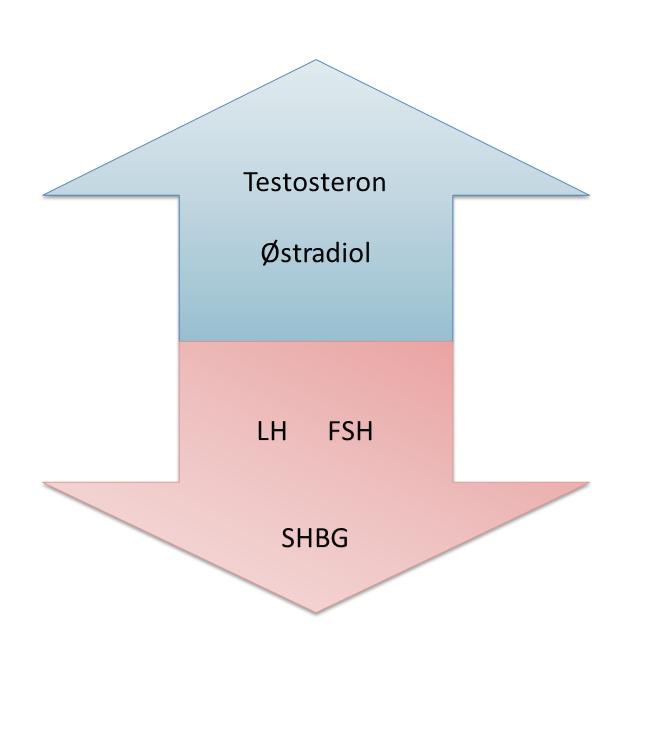 Bruk av testosteron i høye doser gir: Forhøyet testosteronverdi Forhøyet verdi for