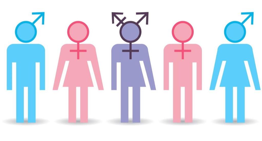 Rapport fra arbeidsgruppen Behandlingstilbud til personer med kjønnsinkongruens/kjønnsdysfori Versjon