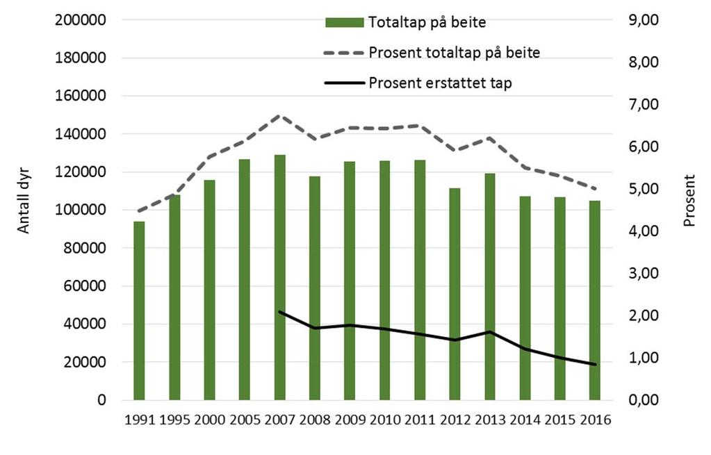 87 Figur 4.5 Totalt antall sau på beite, prosent totalt tap på beite, og prosent erstattet som tapt til fredet rovvilt Sauekontrollen (Animalia) fører tall over andre tapsårsaker for sau på beite f.