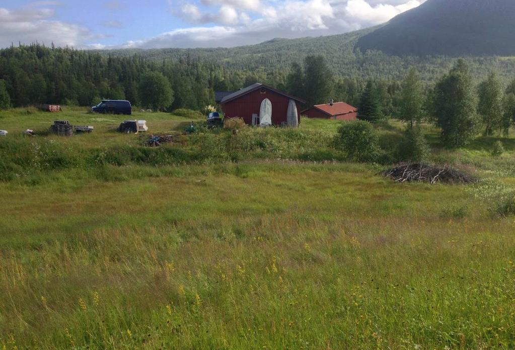 Bilder Figur 1: Utsikt retning SSV mot gårdstunet, treklynge