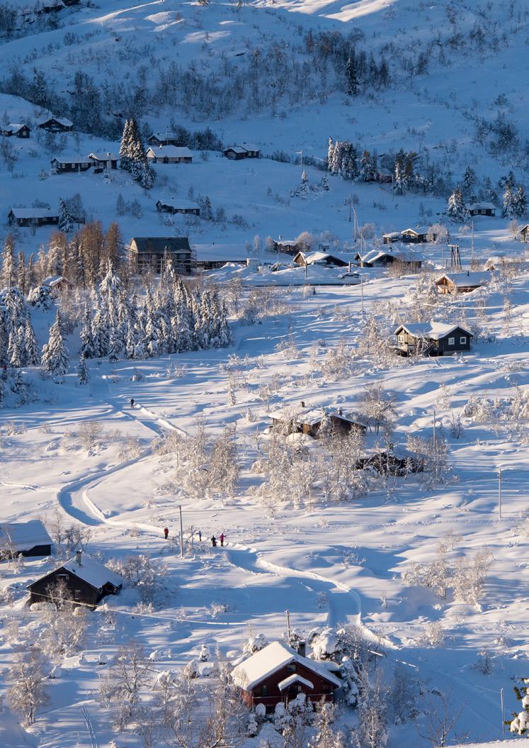 Kvamskogen har rundt 1600 hytter Eikedalen Ein av de mest populære skiturane på Kvamskogen går via Mødal til Såta.