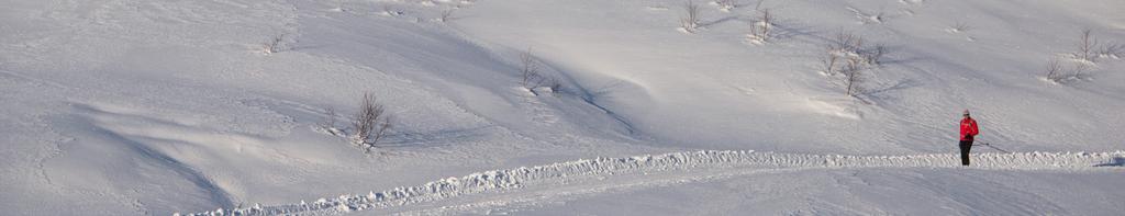 I starten av sesongen, før det er nok snø i terrenget er det vanlegvis berre Mødalsvegen og Steinskvanndalsvegen som vert preparerte.