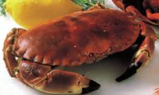Verdien av krabbe gikk ned med 1,1 mill. til 3,4 mill. Snittprisen var kr 12,07. Gråsteinbit Det ble landet 43 tonn i 2016 mot 29 tonn i 2015.