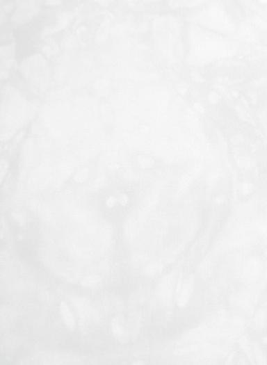 Returadresse: Kongsvinger Jeger og Fiskerforening Postboks 177 B 2202 Kongsvinger BEST I TEST Zodiac Team Pro Waterproof Dette er en liten og lett jaktradio som er robust, slitesterk og både IP67 og