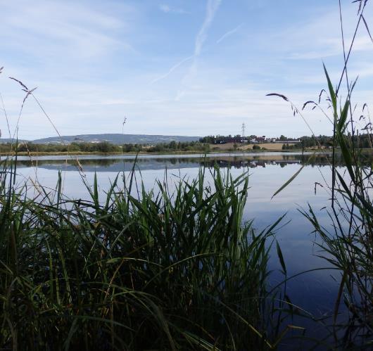 Bedre vannrensing gjennom Åkersvika (naturreservat/ramsarområde) Reguleringsplanen viser en «omforent» løsning der myndigheten har vært involvert Rensing i grøfter, rensebassenger (åpne og lukkede),