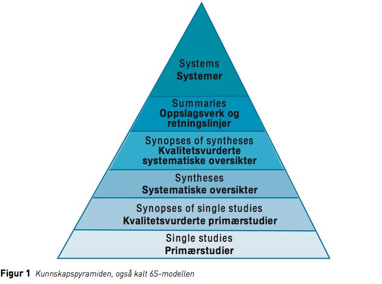 Kunnskapspyramiden: Et hierarki av informasjonsressurser for 4-5-6-studieår 2. og 3.