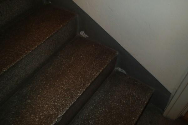 1A Normal bruks- og aldersslitasje Her vurderes innvendige trapper på fellesområdene. Svingtrapper med repos av betong.