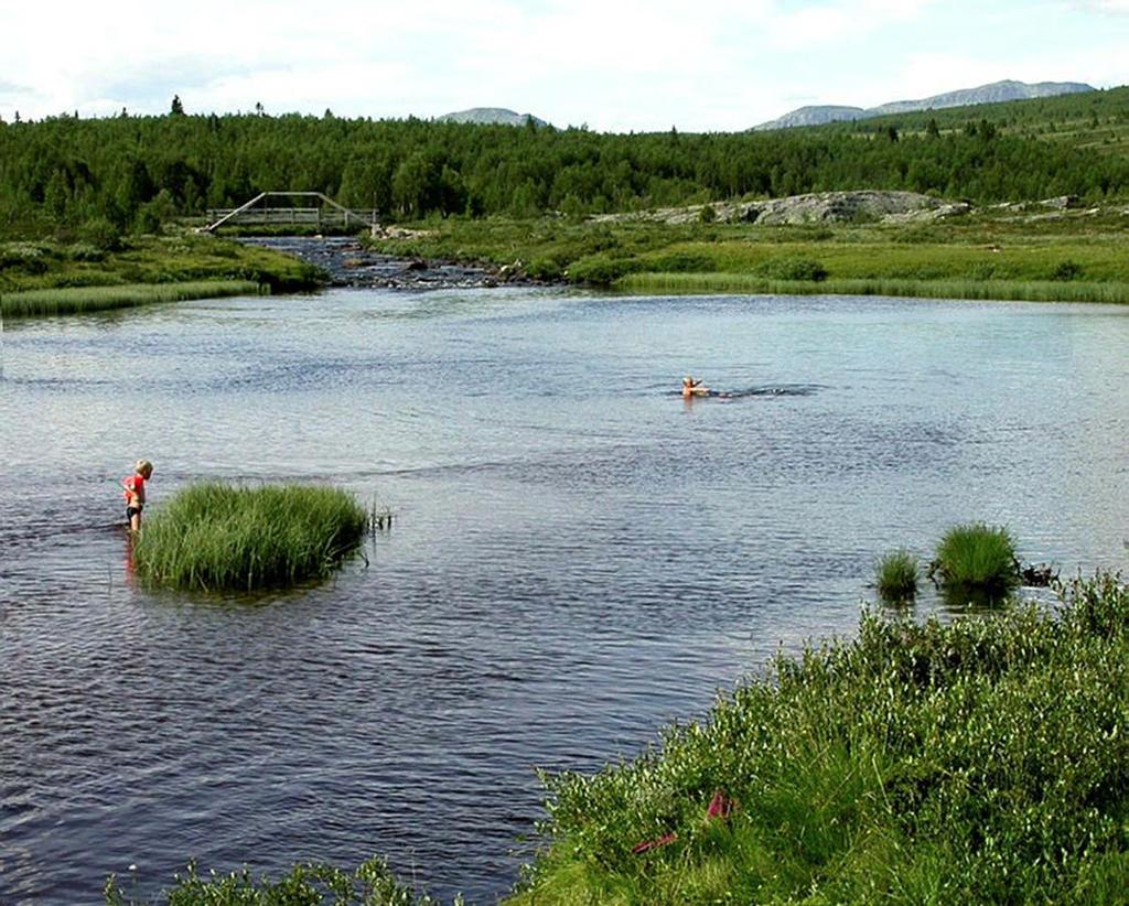 grunnvatn, samt verna