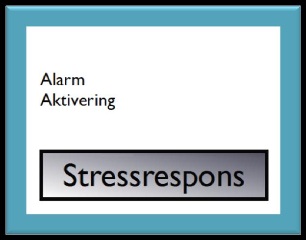 CATS Stressrespons - aktivering Stress Stressor Stimuli Belastning Stress stimuli Filtrering Alarm Aktivering