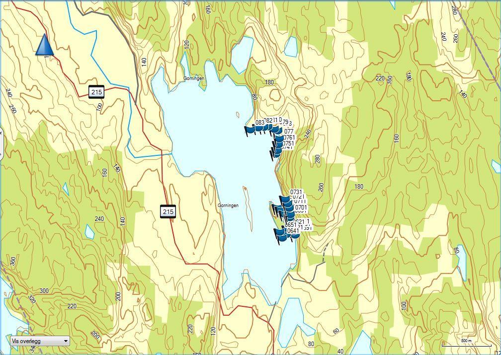 Oversikt over teineplassering i Gorningen.