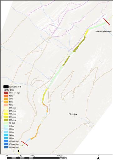 Segment 4 Gyteareal 2017 Vannføringsavhengig vandringshinder Figur 21: Habitatkart