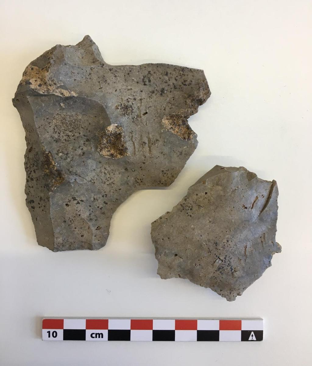 Flinttype B (Figur 15) er en gråmelert grovkornet matt flint med en del inklusjoner, huller og fossiler og kan karakteriseres som en bryozo lignende type.