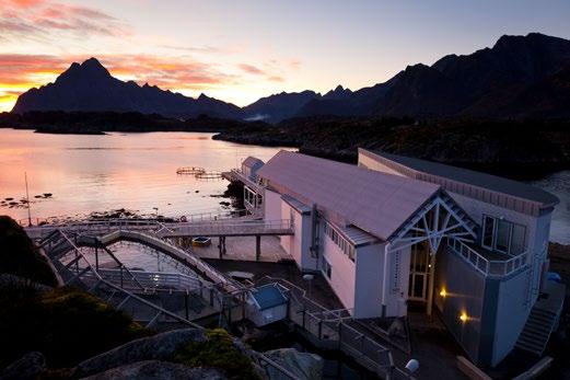 Ved Lofotakvariet kan du også studere de fleste andre fiskeslag, skalldyr og sjødyr som finnes i havområdene rundt Lofoten.