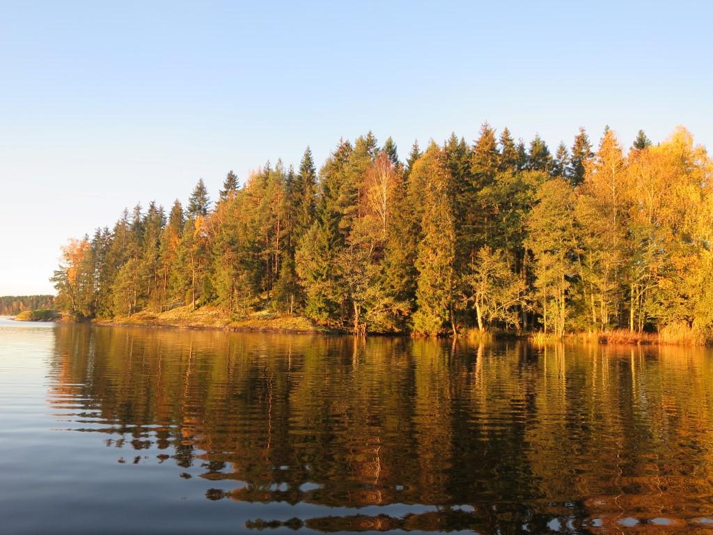 Bilder fra området Nesøya, Aremarksjøen