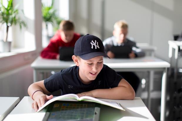 Hva er kjerneelementer i skolefag?