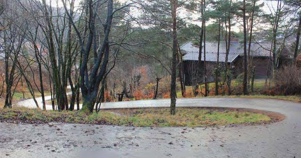 Sammendrag Lek og opphold i nord Utelek og opphold foregår i skogen bak Rolland skole samt på begge skoleplassene.