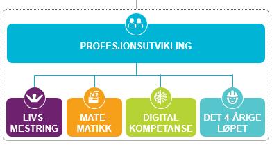 Profesjonsutvikling er det mest overgripende, da det inkluderer en måte å gjennomføre utviklingsarbeid på som vil ha betydning for måloppnåelse på alle de andre strategiområdene.