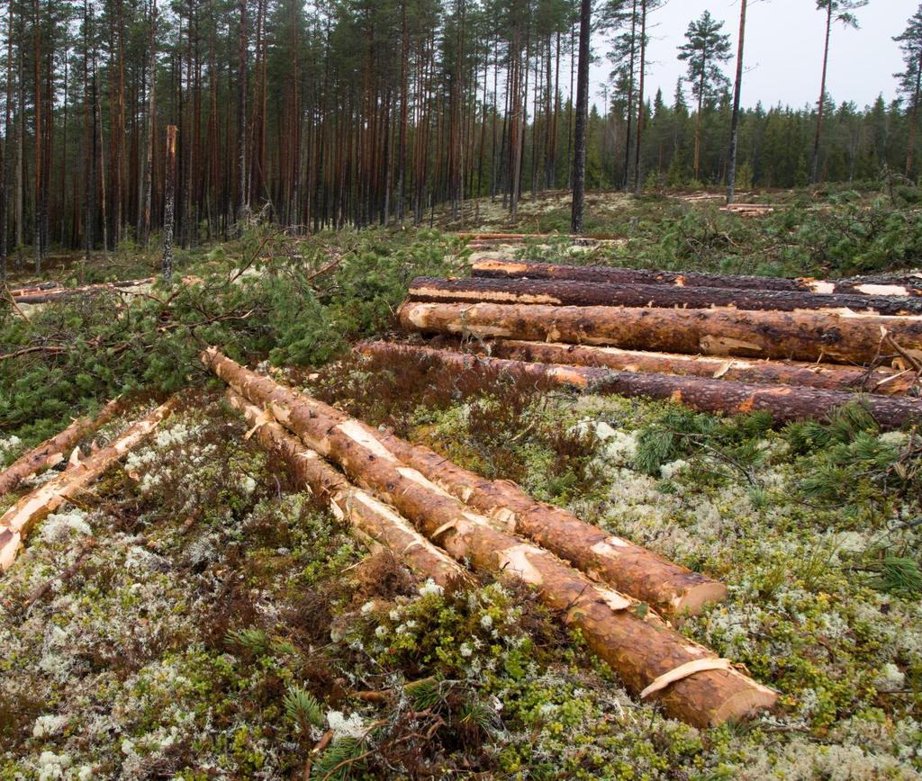 Resultatkontroll skogbruk/miljø Rapport 2016 NIBIO RAPPORT VOL. 3 NR.