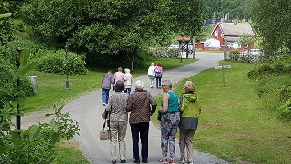 Hva har vi gjort: Det første vi gjorde var at vi hadde et informasjonsmøte på Gladbakk mars/april- 2017 hvor ordfører, Hege Svendsen og Nasjonalforeningen var til stede.