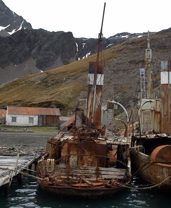 båtdekk/vinger på Focas søsterskip Albatros i