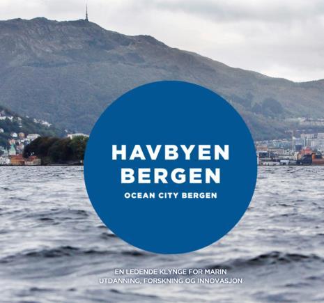 I etterkant har vi sammen med alle de andre næringsorganisasjonene i regionen, samt med Universitetet i Bergen(UiB) fortsatt samtalen.