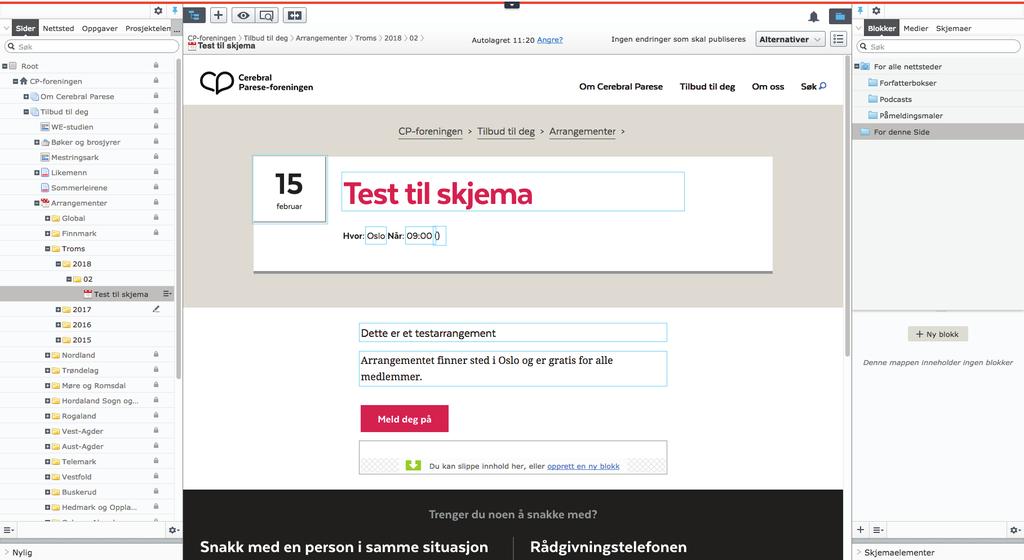 1. OPPRETTING AV SKJEMA Arrangementet Lag arrangementet som vanlig.